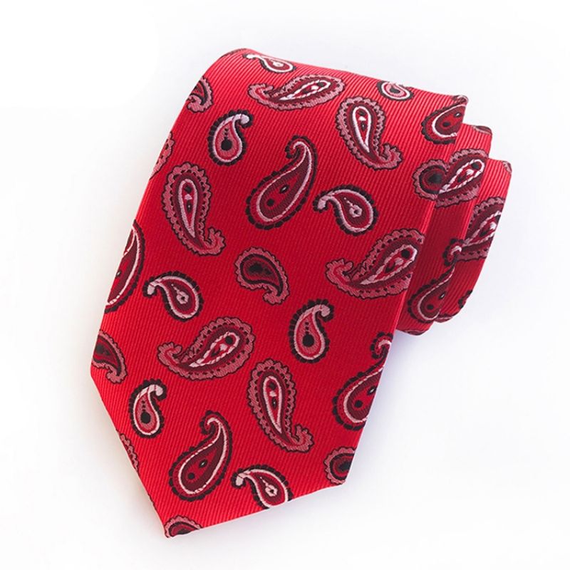 Επιχειρήσεις Paisley Tie For Man