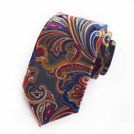 Επιχειρήσεις Paisley Tie For Man